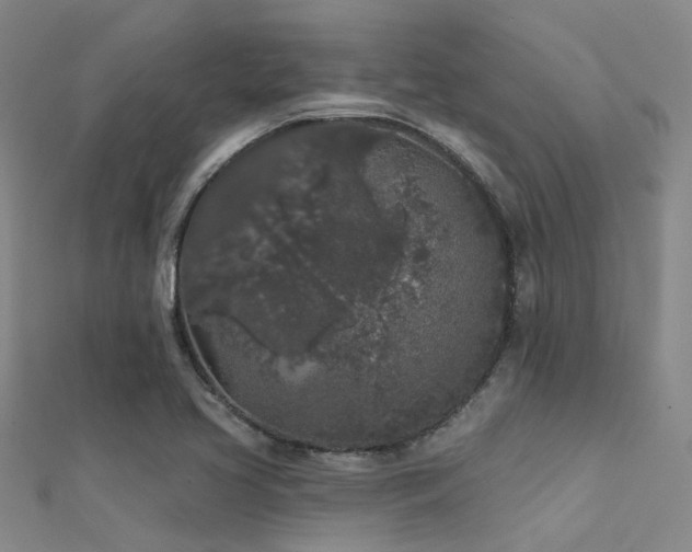 X0000112361413200908131445