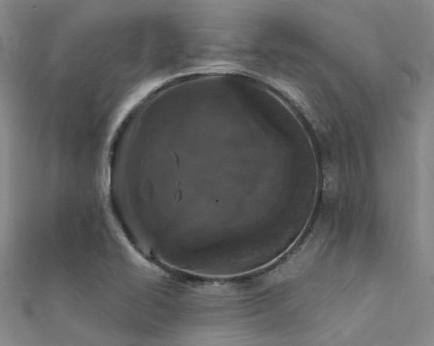 X0000112361414200908131445