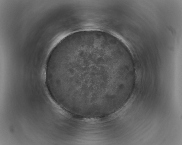 X0000112361415200908131445