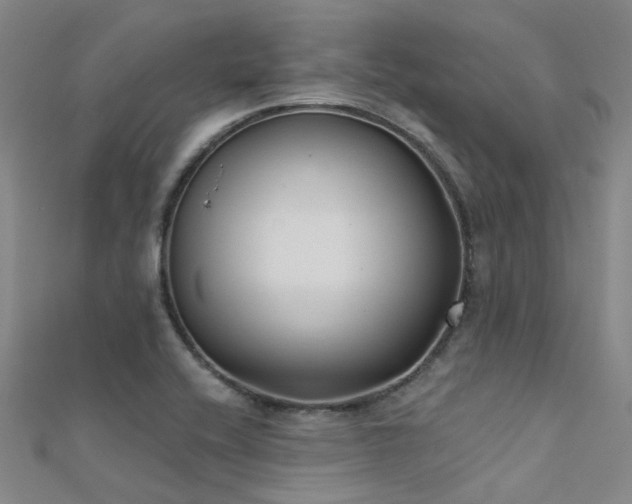 X0000112361416200908131445