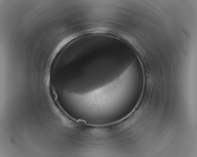 X0000112361418200908131445