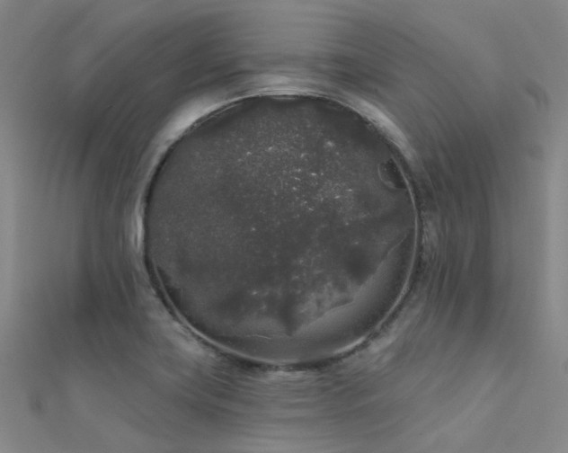 X0000112361419200908131445