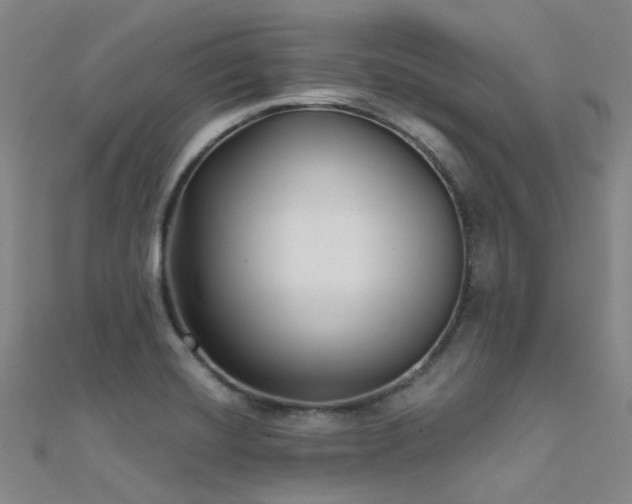 X0000112361420200908131445