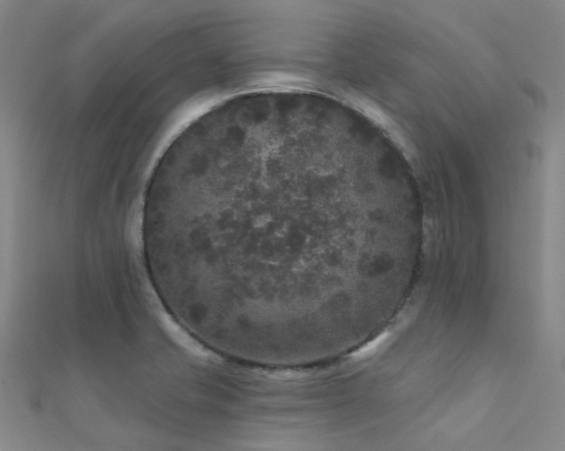 X0000112361421200908131445