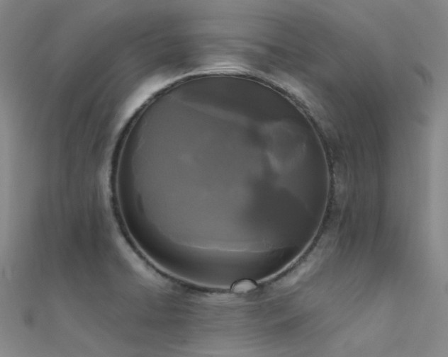 X0000112361422200908131445