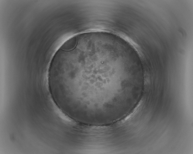 X0000112361423200908131445