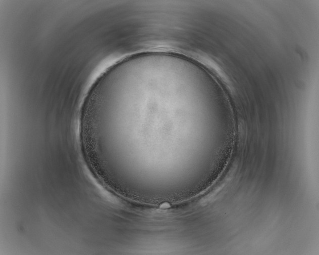 X0000112361424200908131445