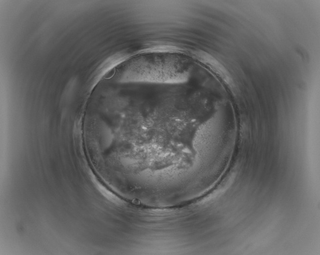 X0000112361425200908131445
