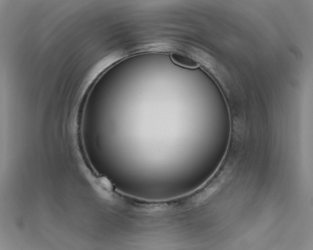 X0000112361426200908131445