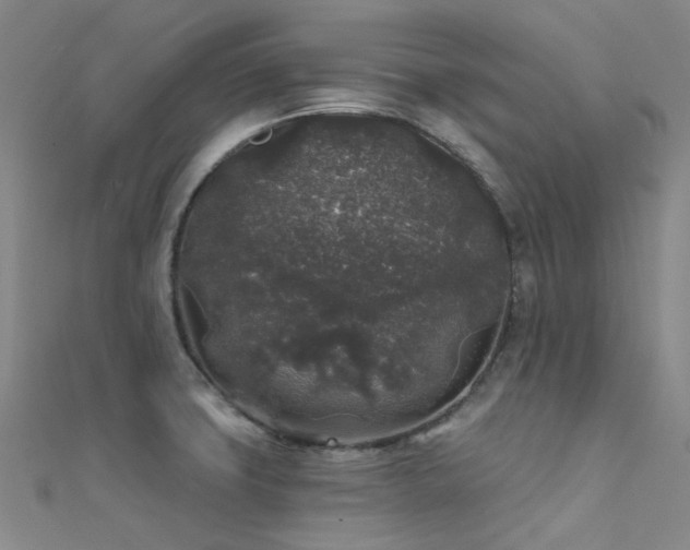 X0000112361427200908131445