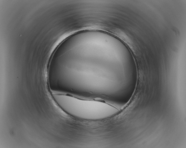 X0000112361428200908131445