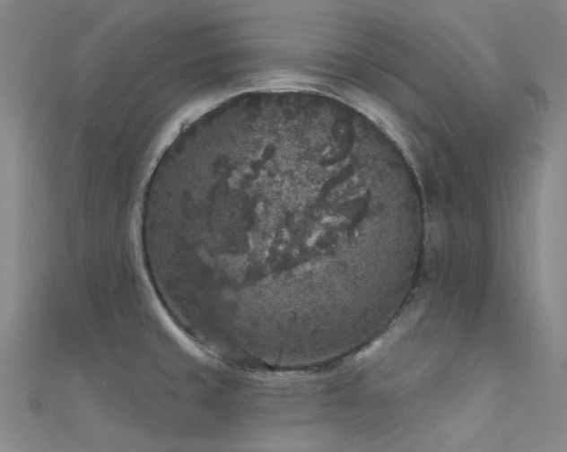X0000112361429200908131445