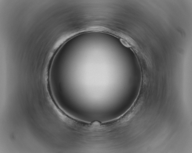 X0000112361430200908131445