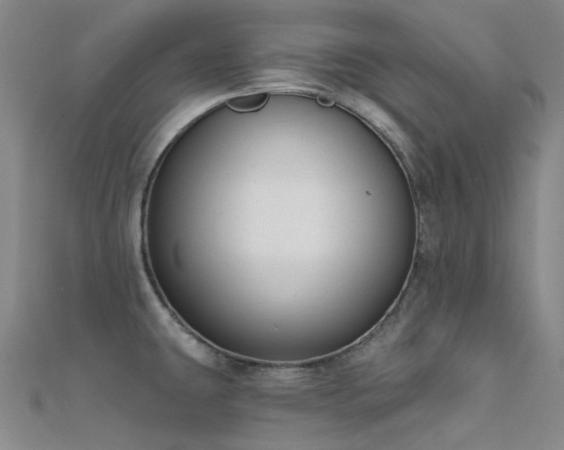 X0000112361431200908131445
