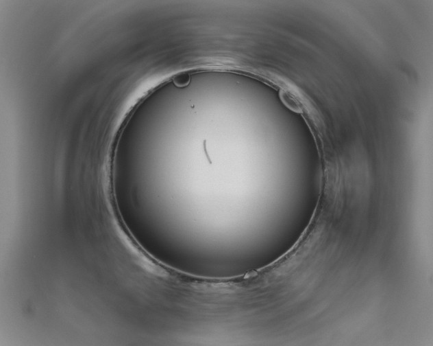 X0000112361432200908131445