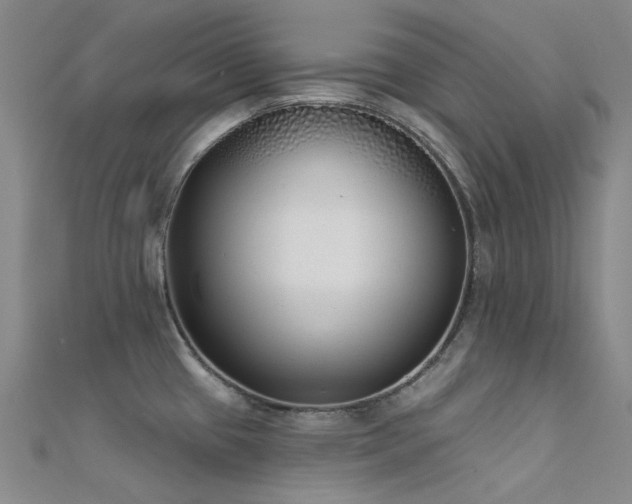 X0000112361433200908131445