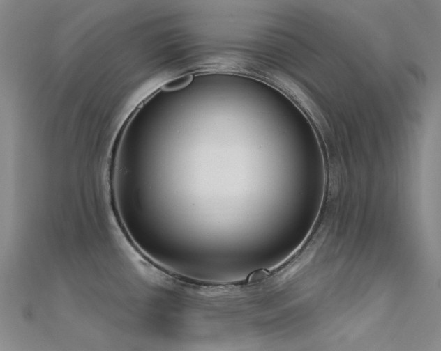X0000112361434200908131446