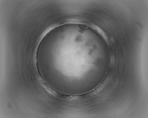 X0000112361435200908131446