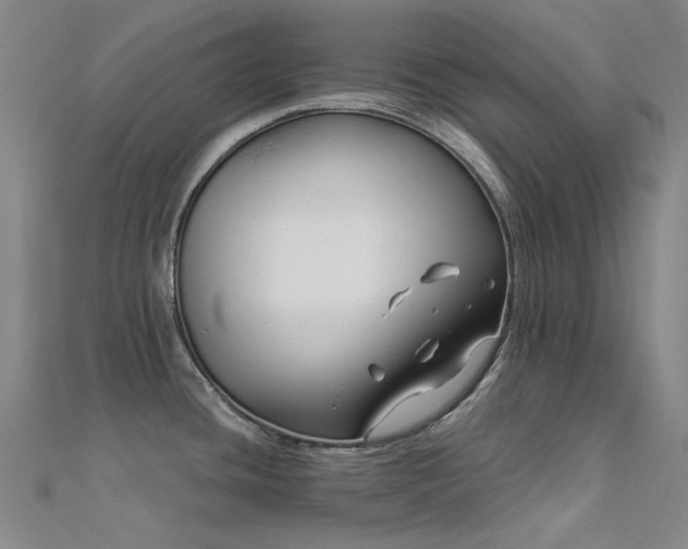 X0000112361436200908131446