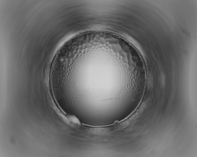 X0000112361437200908131446