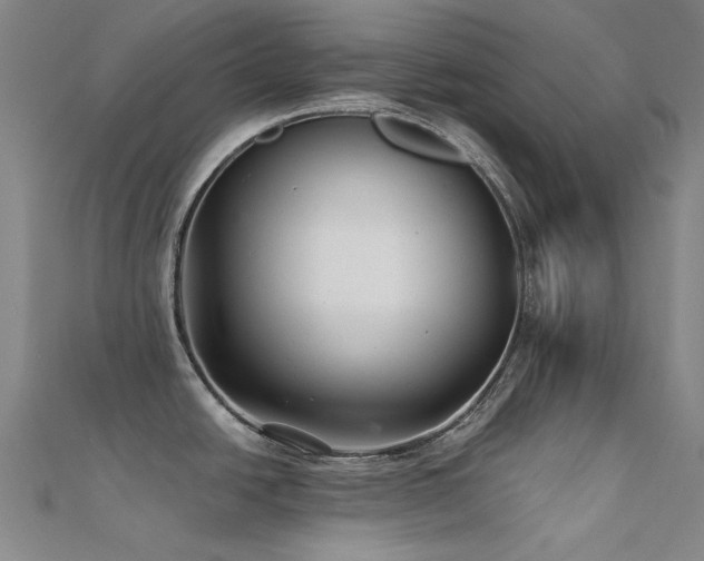 X0000112361438200908131446