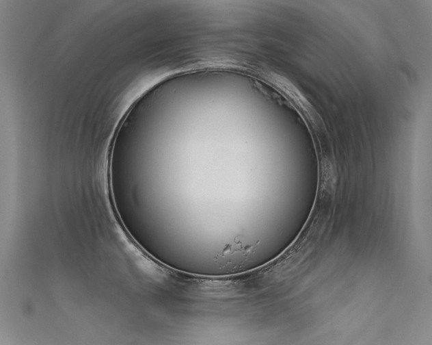 X0000112361439200908131446