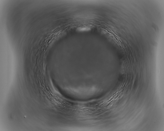 X0000112361441200908131445