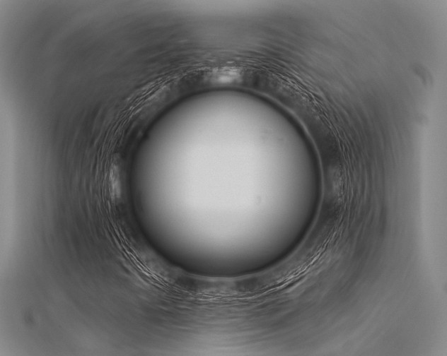 X0000112361442200908131445