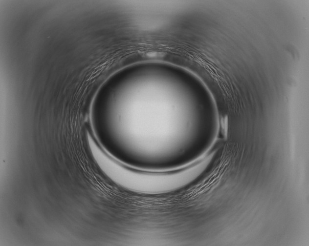 X0000112361443200908131445