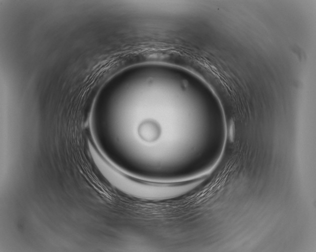 X0000112361444200908131445