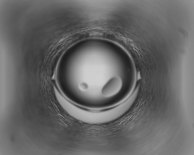 X0000112361445200908131445