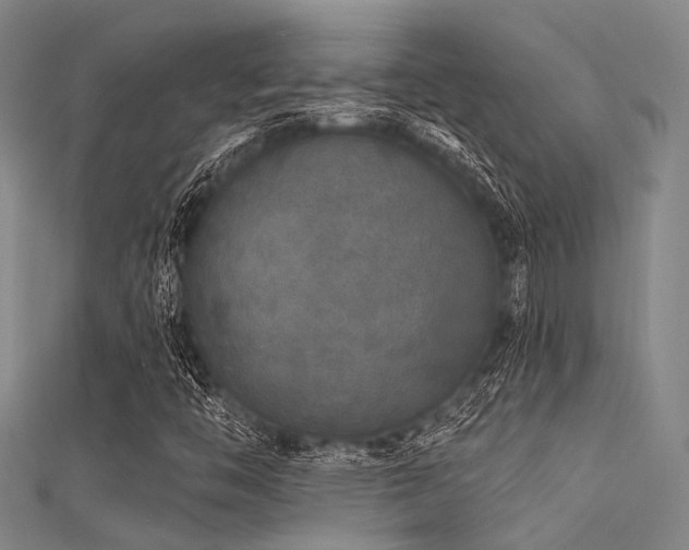 X0000112361446200908131445