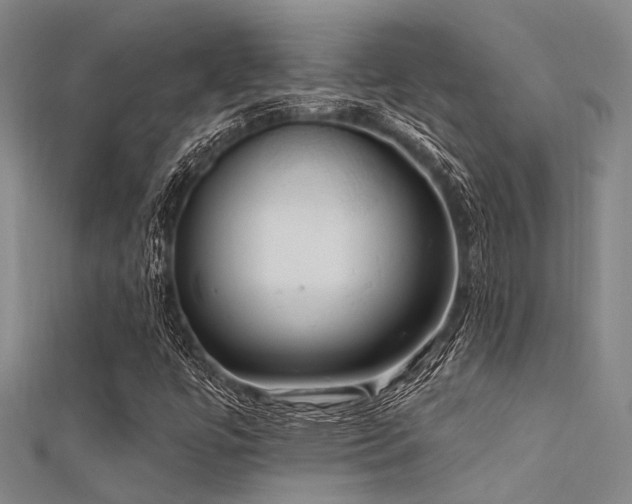 X0000112361447200908131445