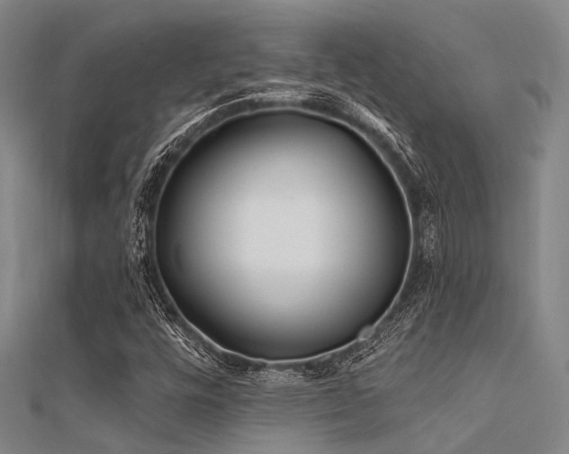 X0000112361448200908131445