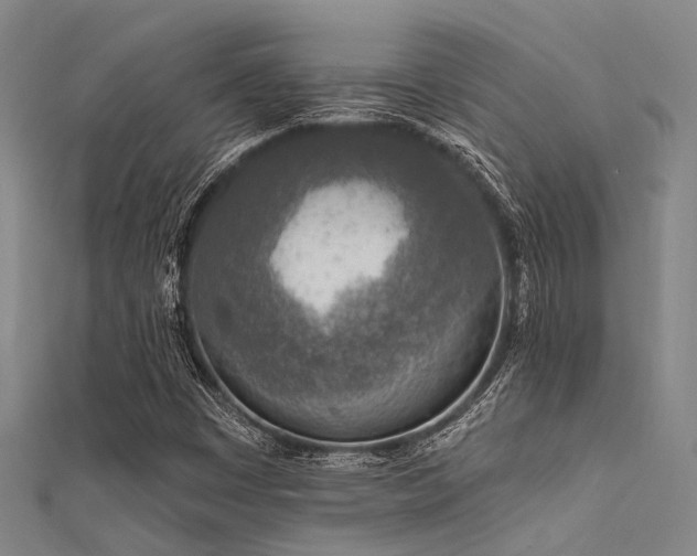 X0000112361449200908131445