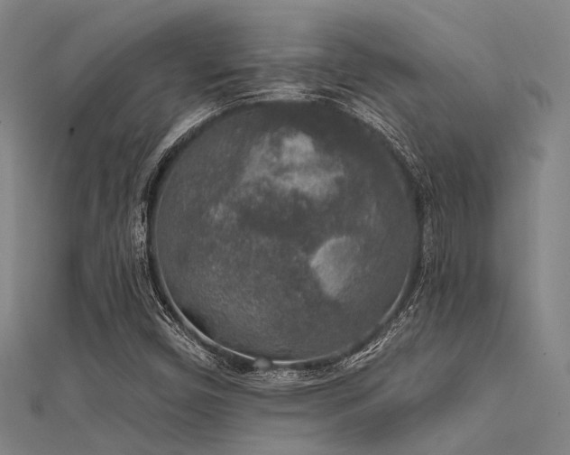 X0000112361450200908131445