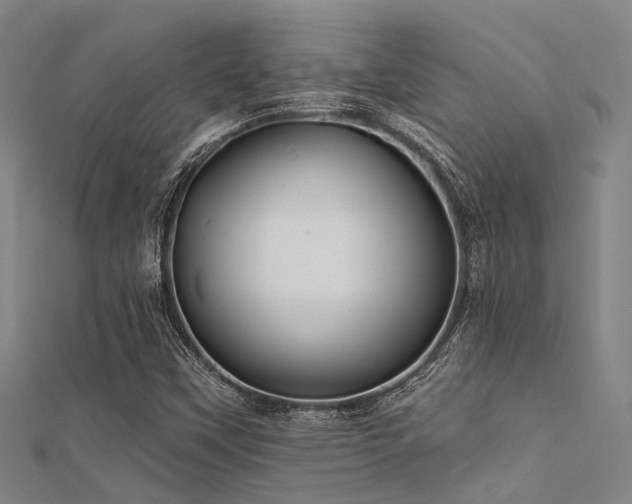 X0000112361451200908131445