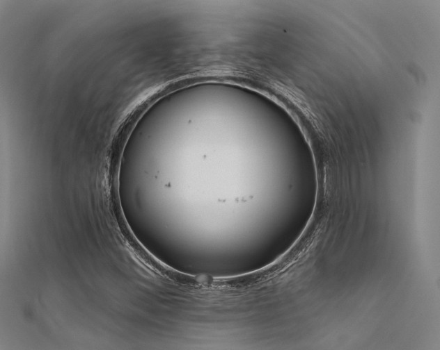 X0000112361452200908131445