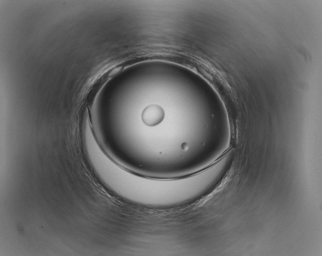 X0000112361453200908131445