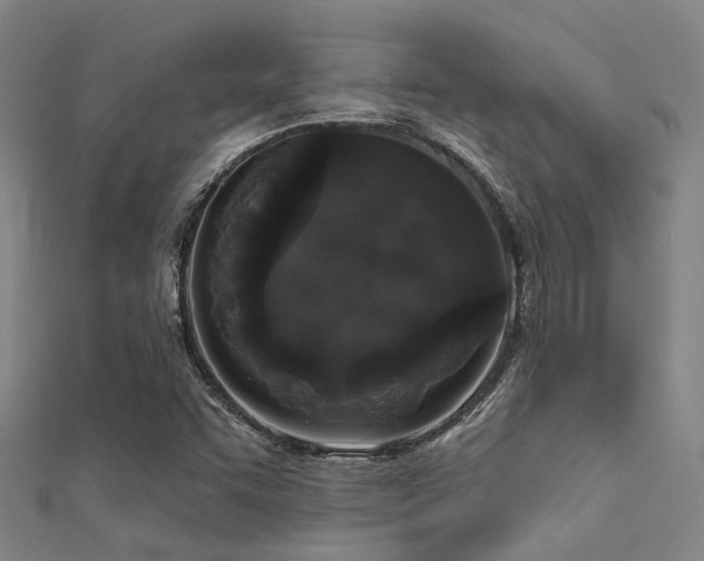 X0000112361455200908131445