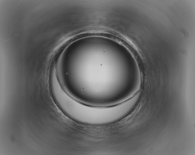 X0000112361456200908131445