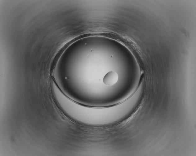 X0000112361457200908131445