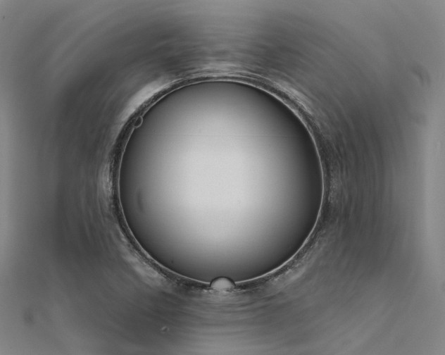 X0000112361458200908131445