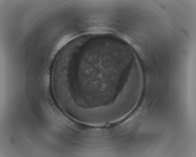 X0000112361459200908131445