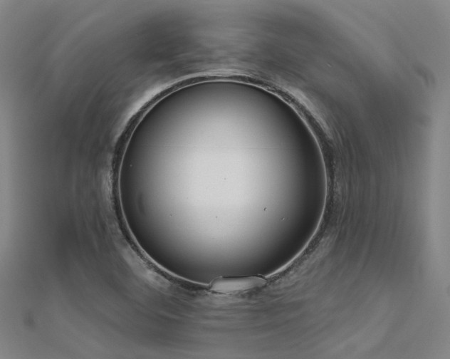 X0000112361460200908131445