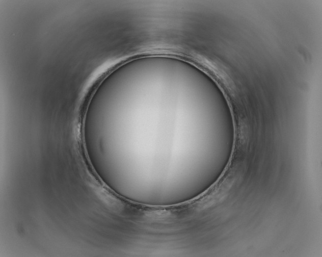 X0000112361462200908131445