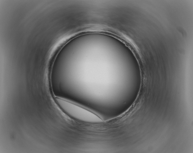 X0000112361464200908131445