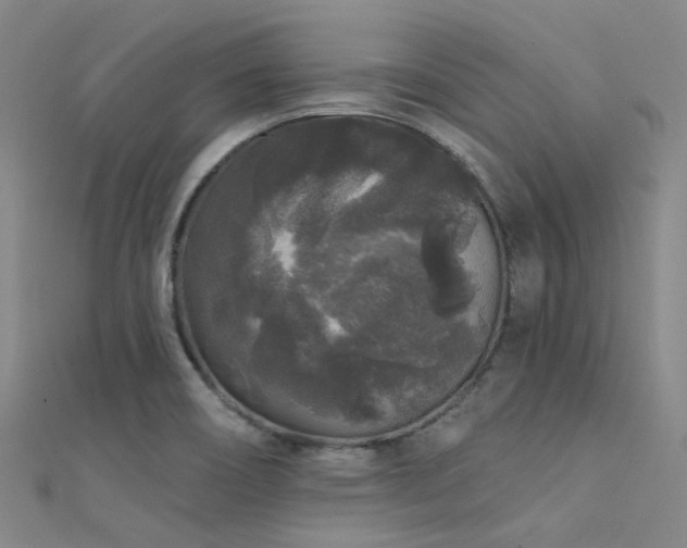 X0000112361466200908131445