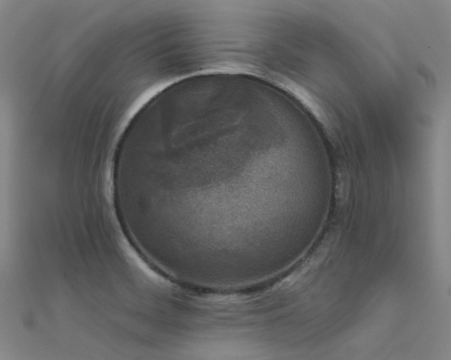 X0000112361468200908131445