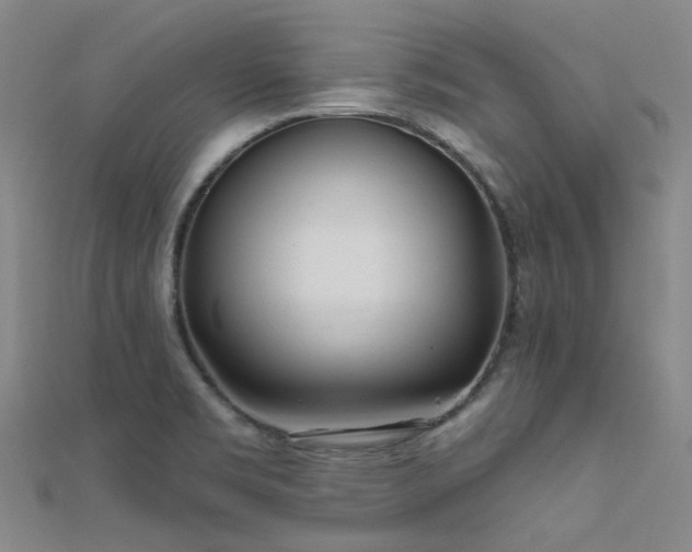 X0000112361469200908131445